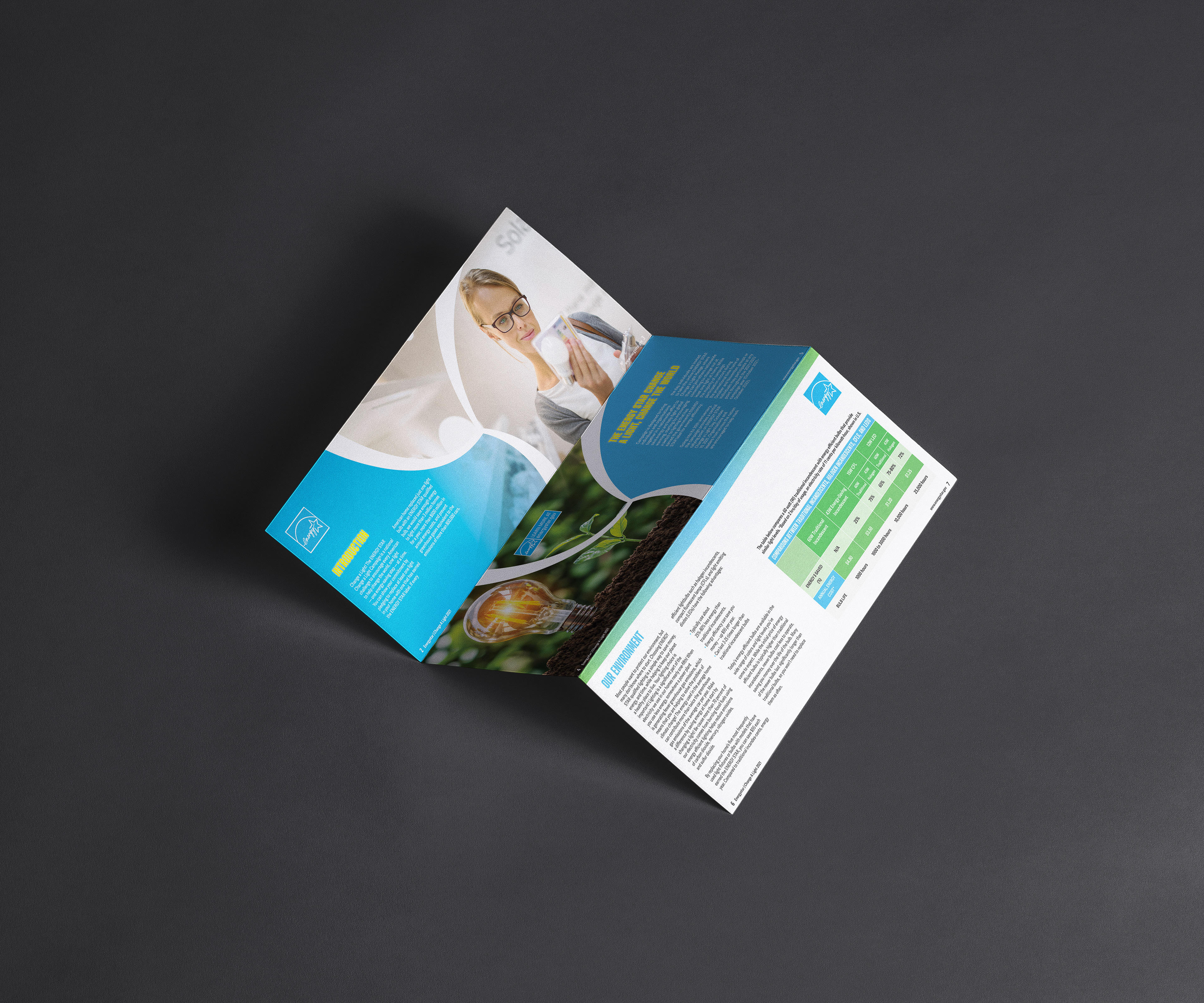 Brochure Tri-Fold 1