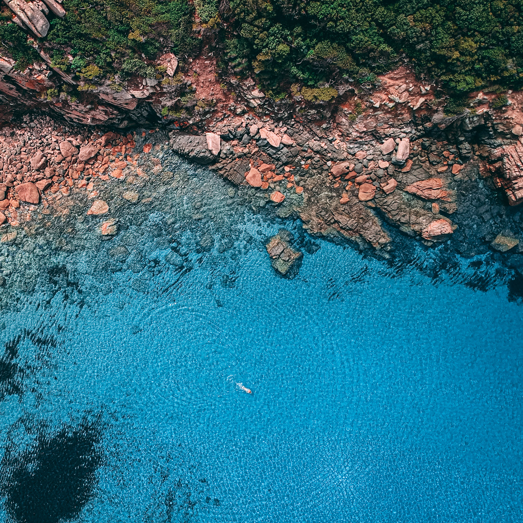 DCIM/100MEDIA/DJI_0146.JPG