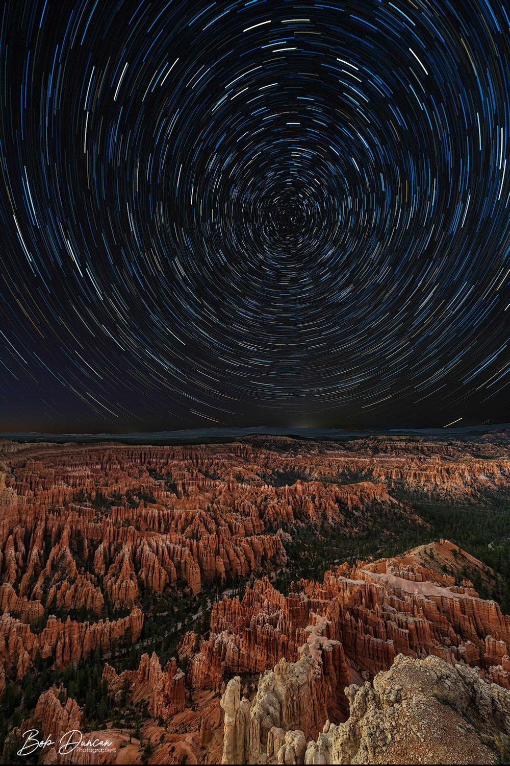 Bryce Point Star Trails 9857