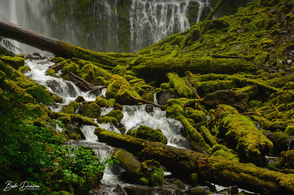 Proxy Falls-6845