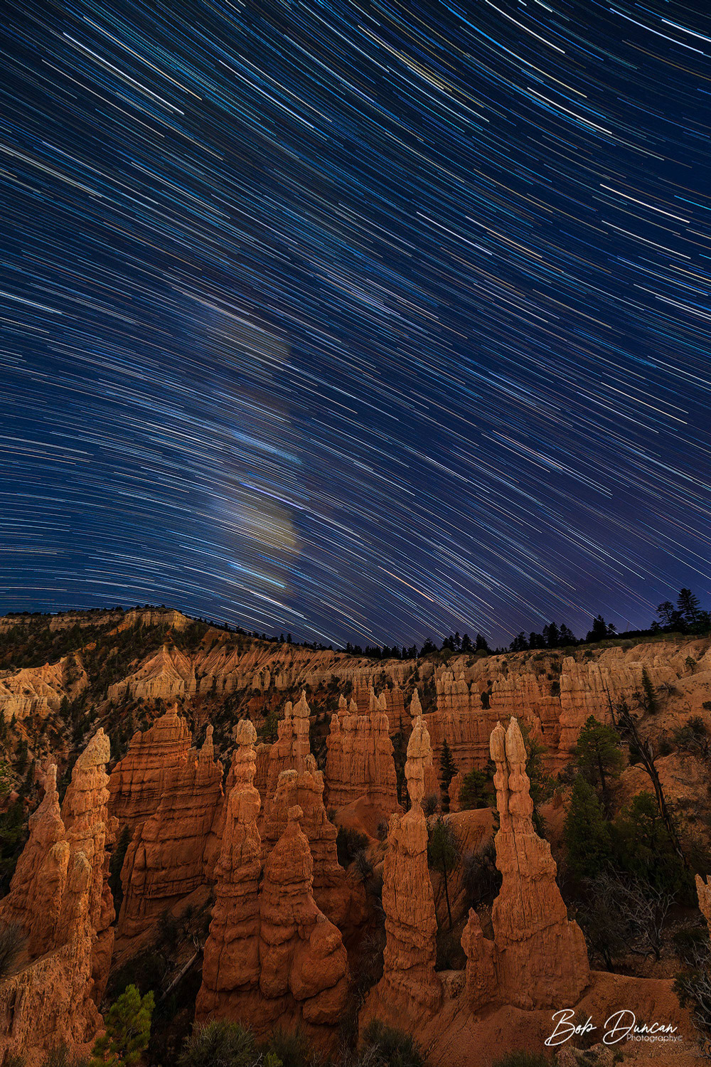 Fairyland Trail Star Trails 9887