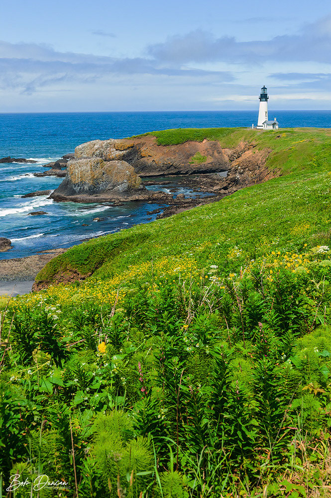 Oregon Coast-9783