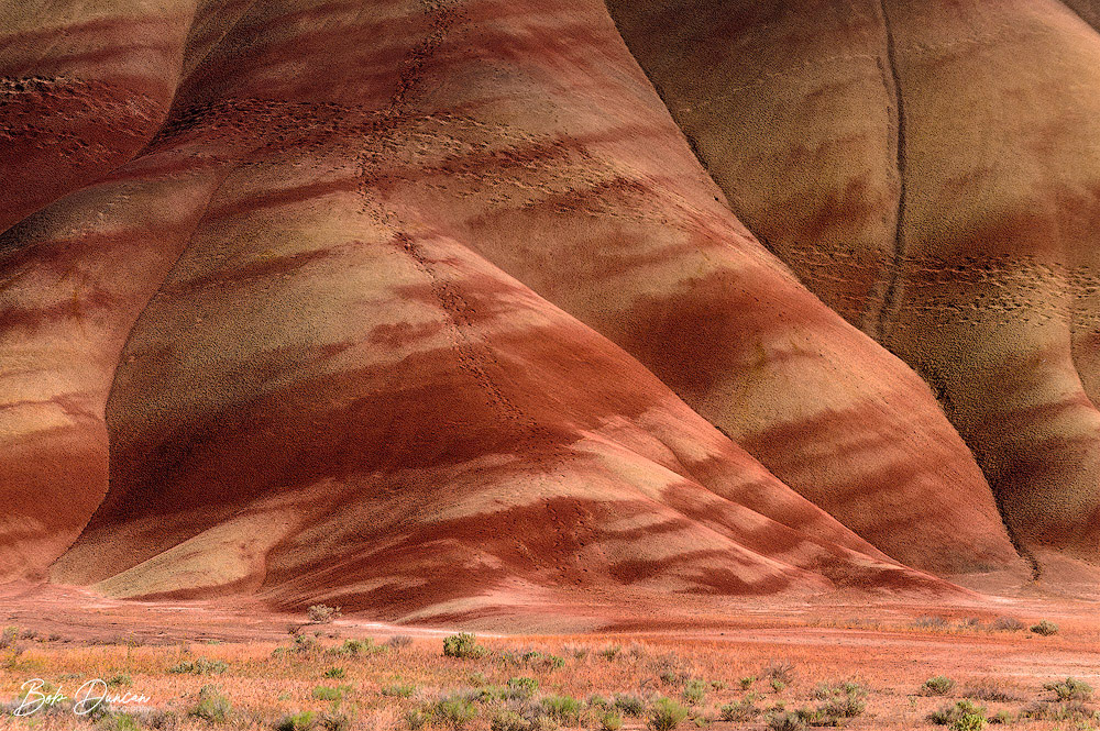 John Day Fossil Beds-7005