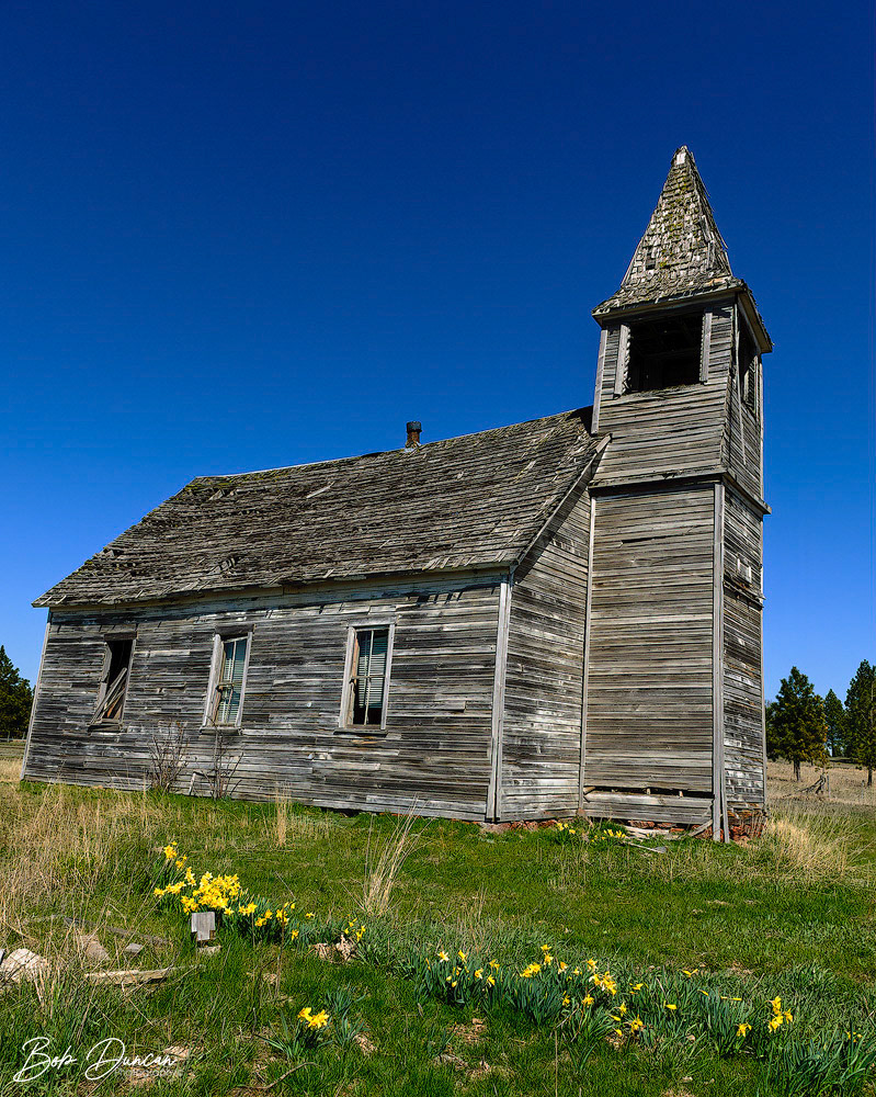 Flora Church OR-8462
