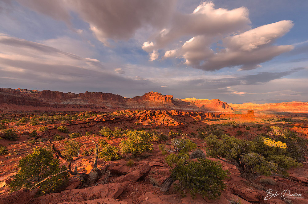 Capital Reef NP-4828