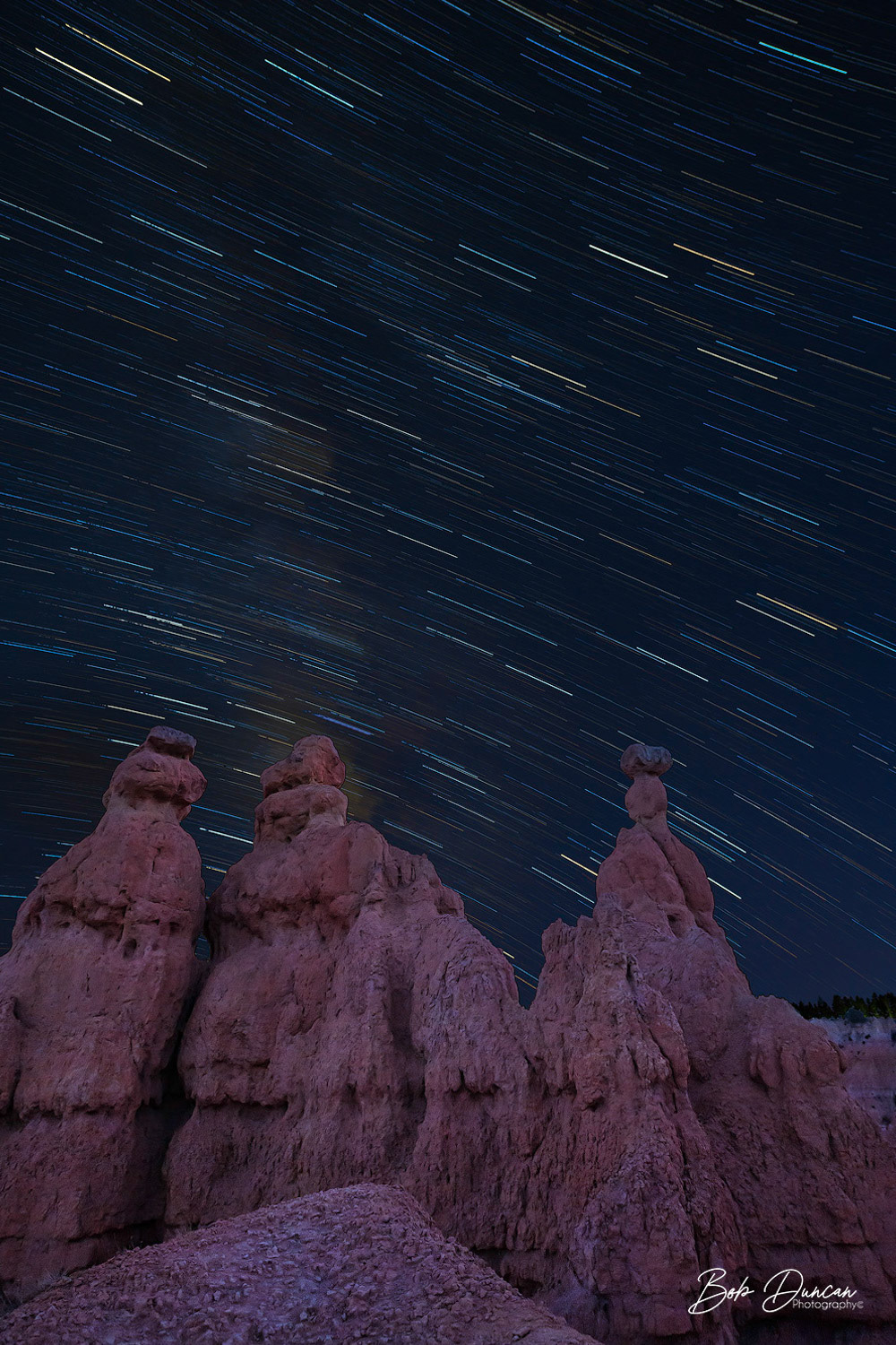 Fairyland Trail Star Trails 9505