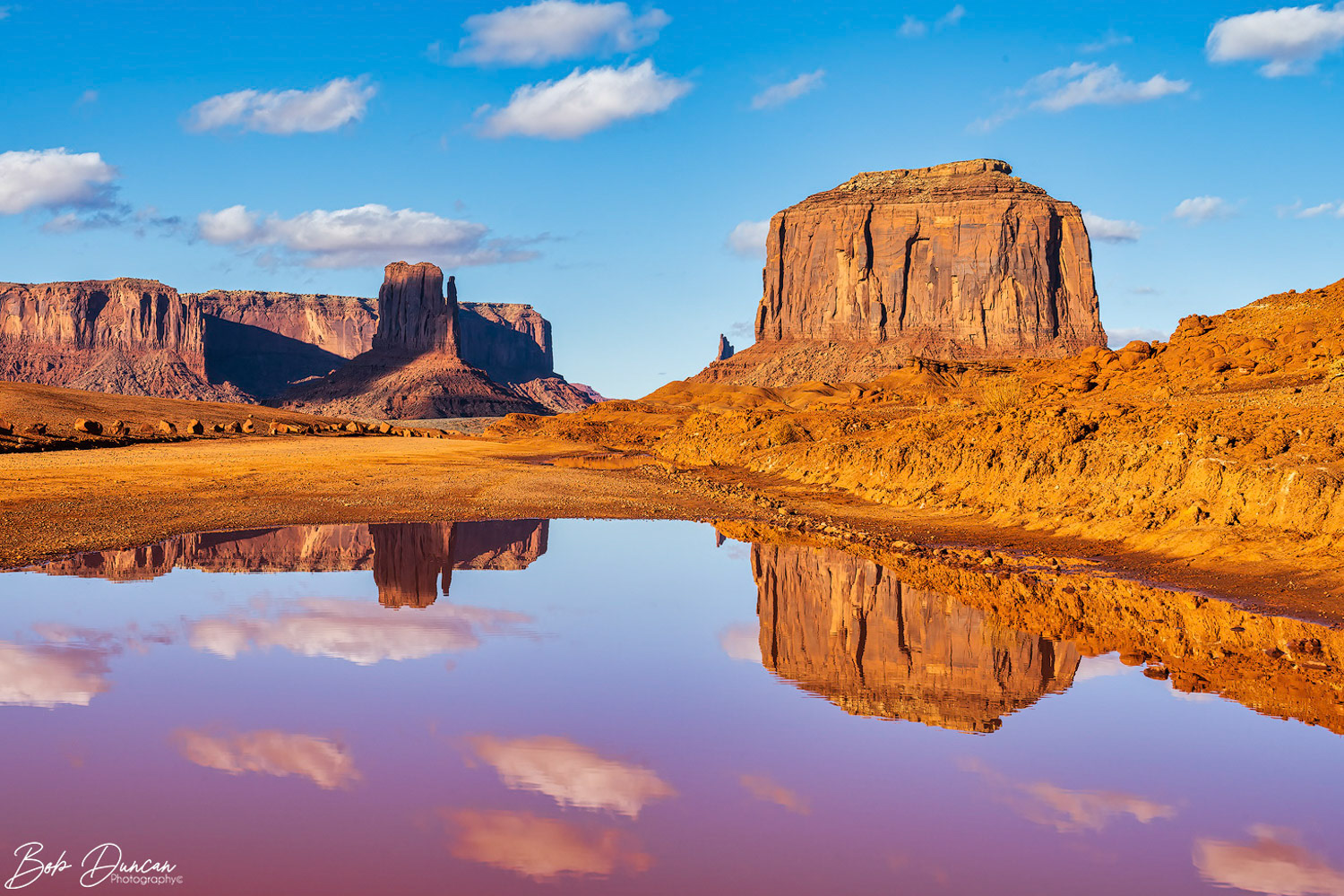 Merrick Butte Reflection-4974