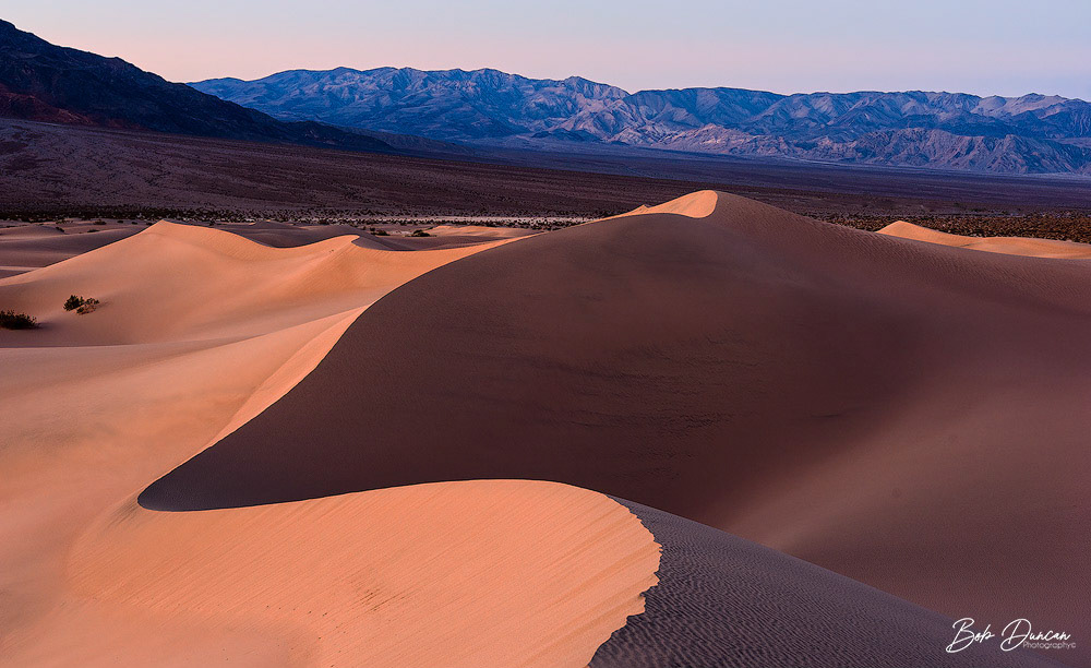 Mesquite Flats Sand Dunes-8378