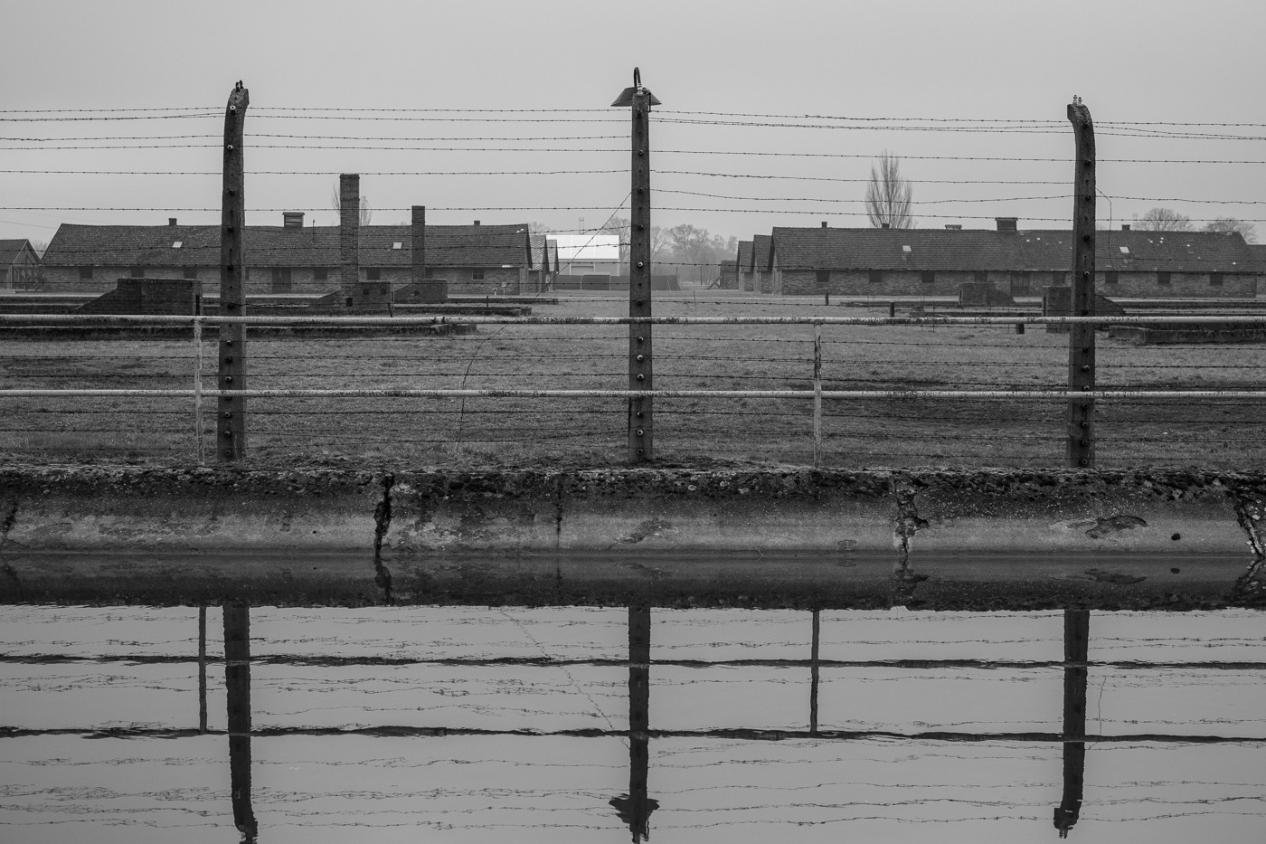 No drinking water provided, prisoners drank from puddles