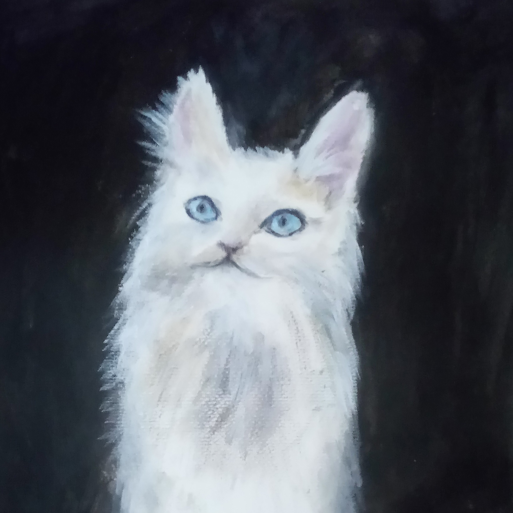 Kissa (orginal artwork sold)