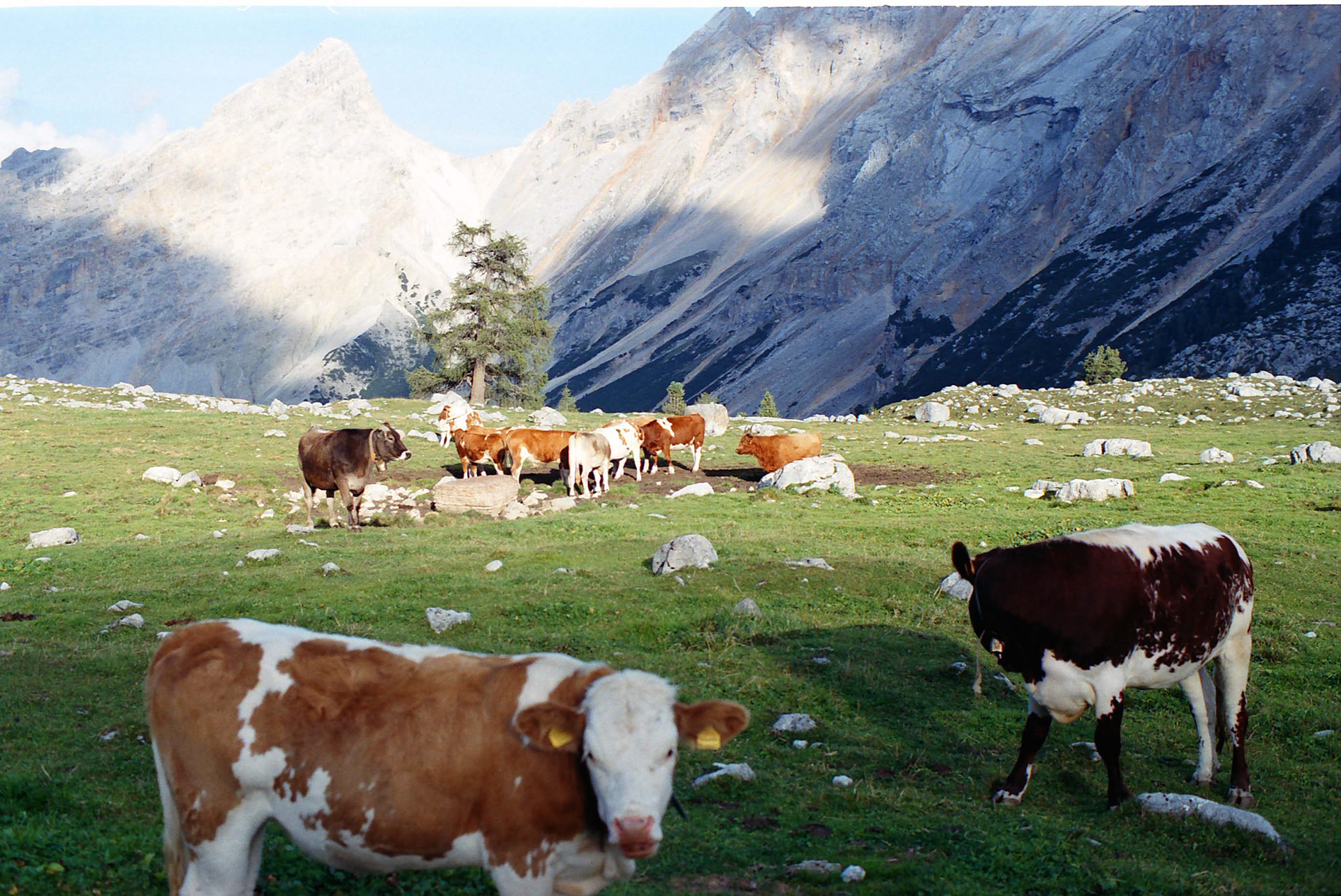 Tirol
