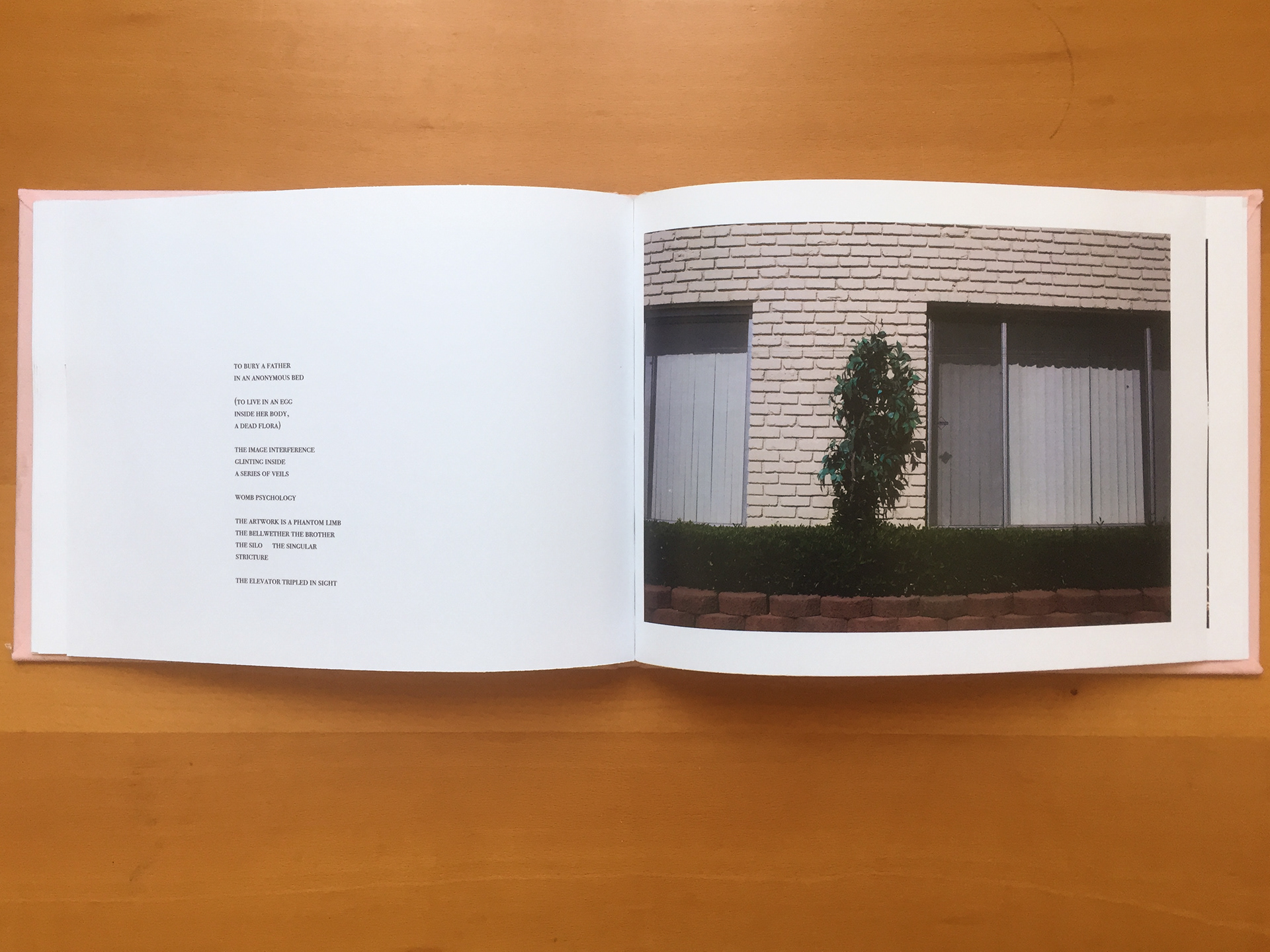 topographies. commissioned by SFSU Creative Writing MFA thesis. Full Cloth. Hand-bound. Edition of five