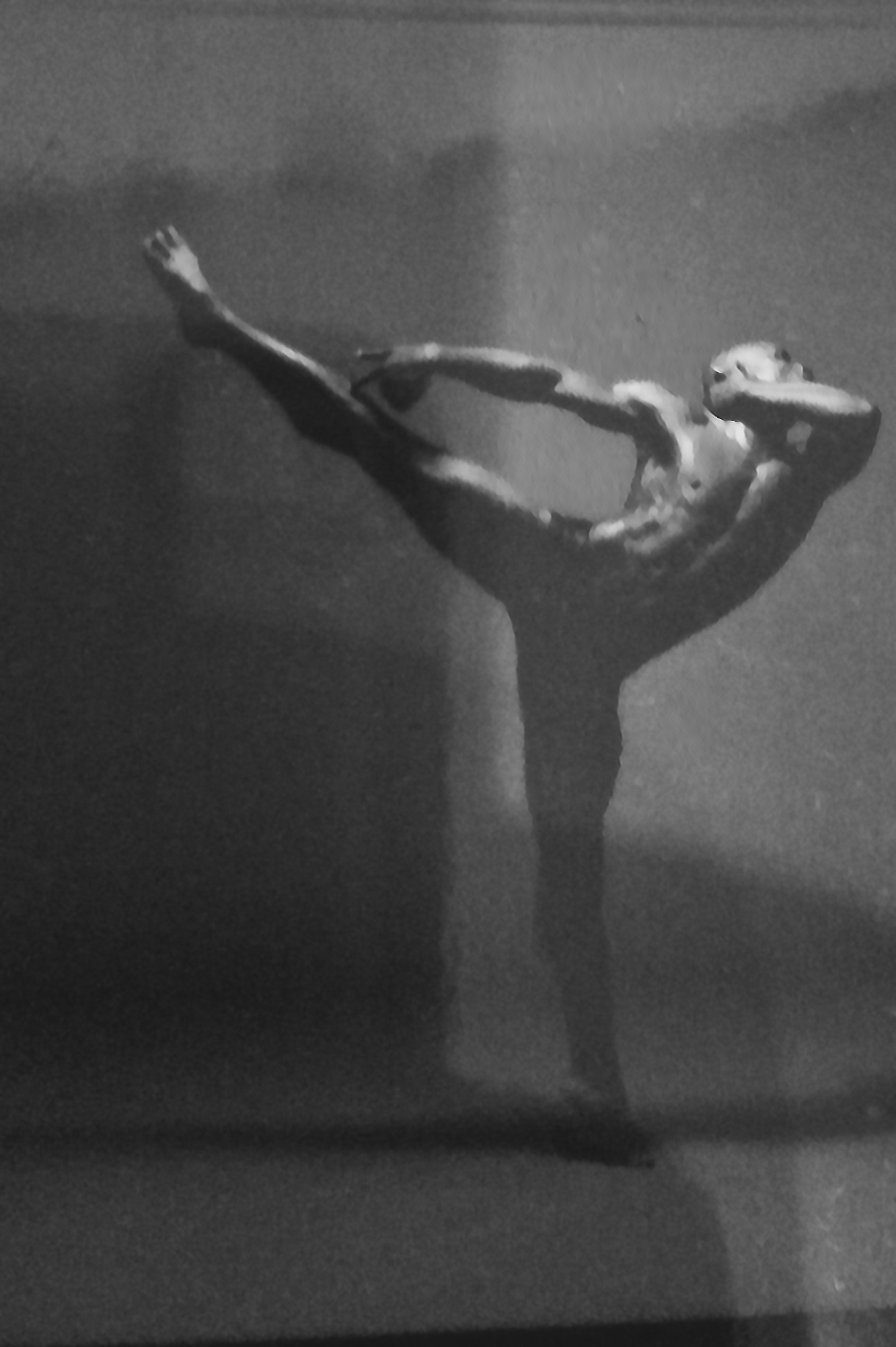 Michael Slobodian picture