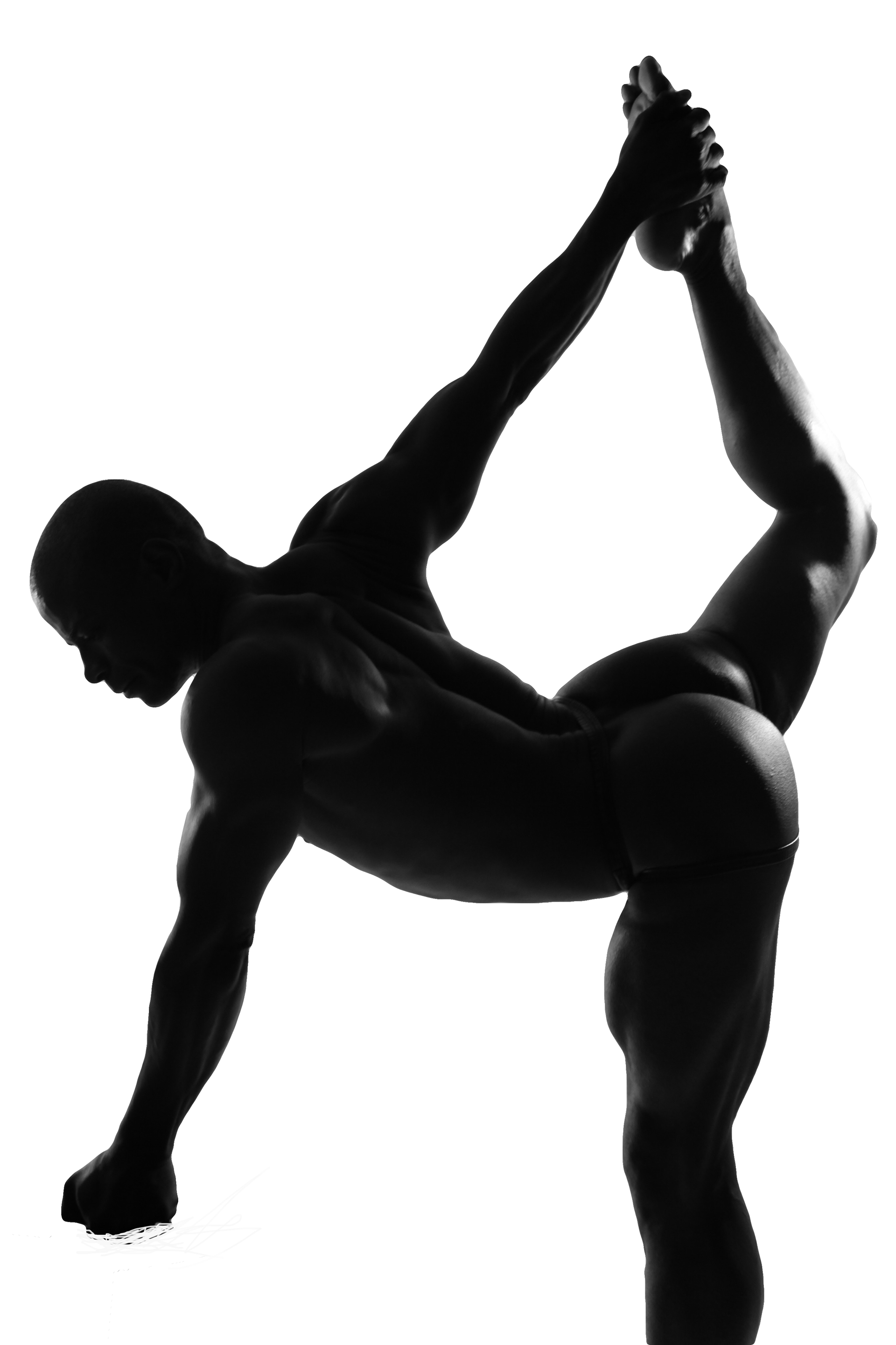The different colors of the pose which led me to my current logo