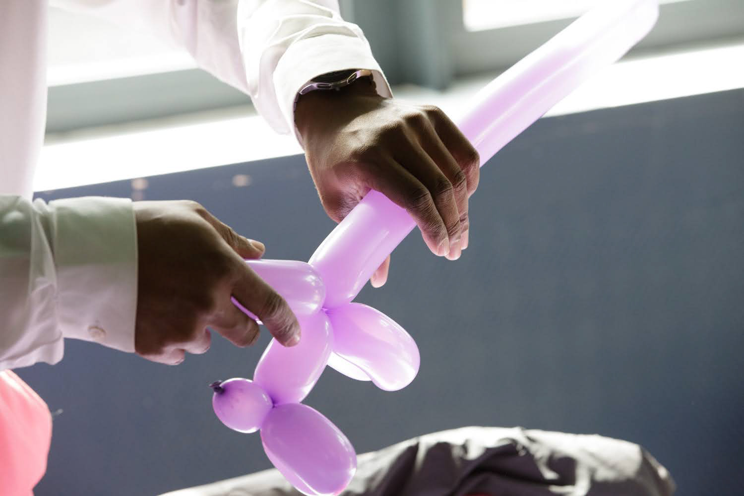 Association Blue Eden