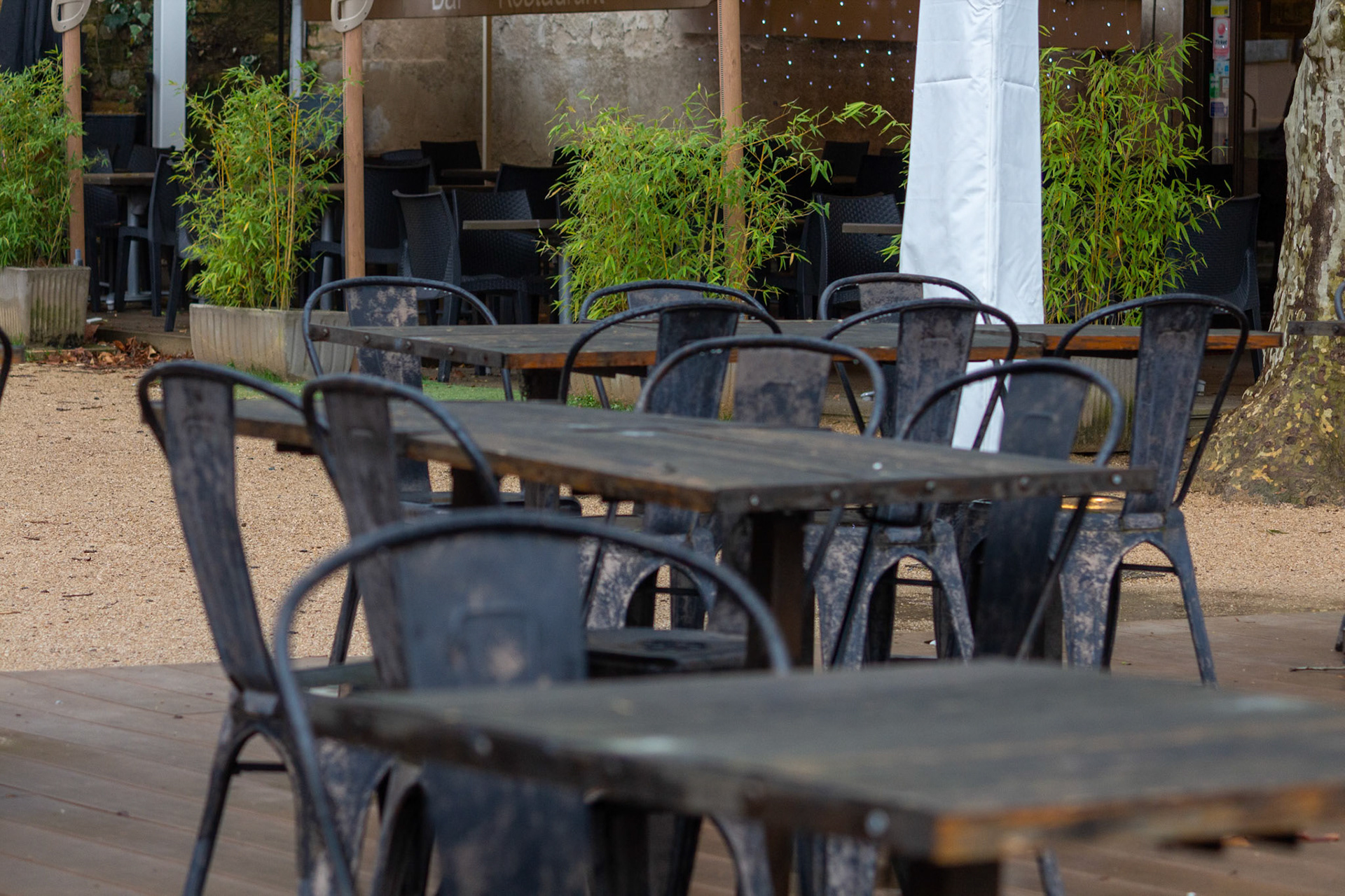 Briller par son absence - Frédéric