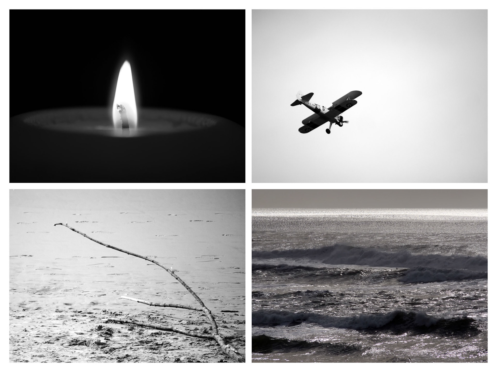 Marie-Agnès Laugier