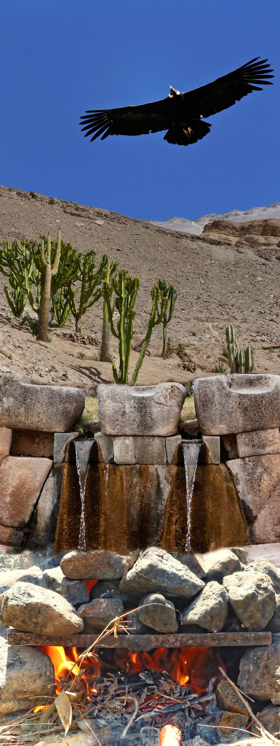 Corinne Ginoux Noël Prévot Patrick Pellet Sophie Galy