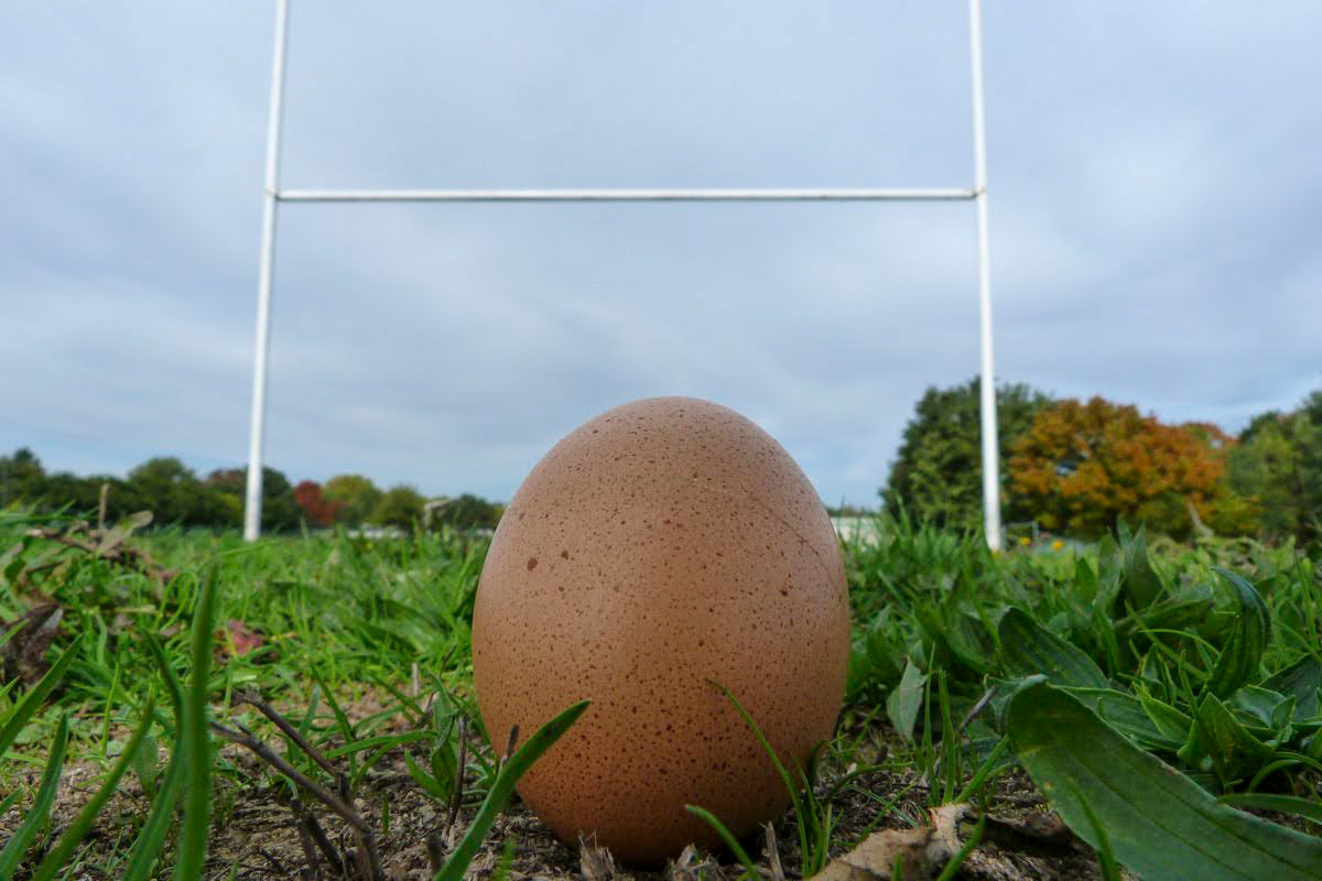 Oeuf - Noël Prévot