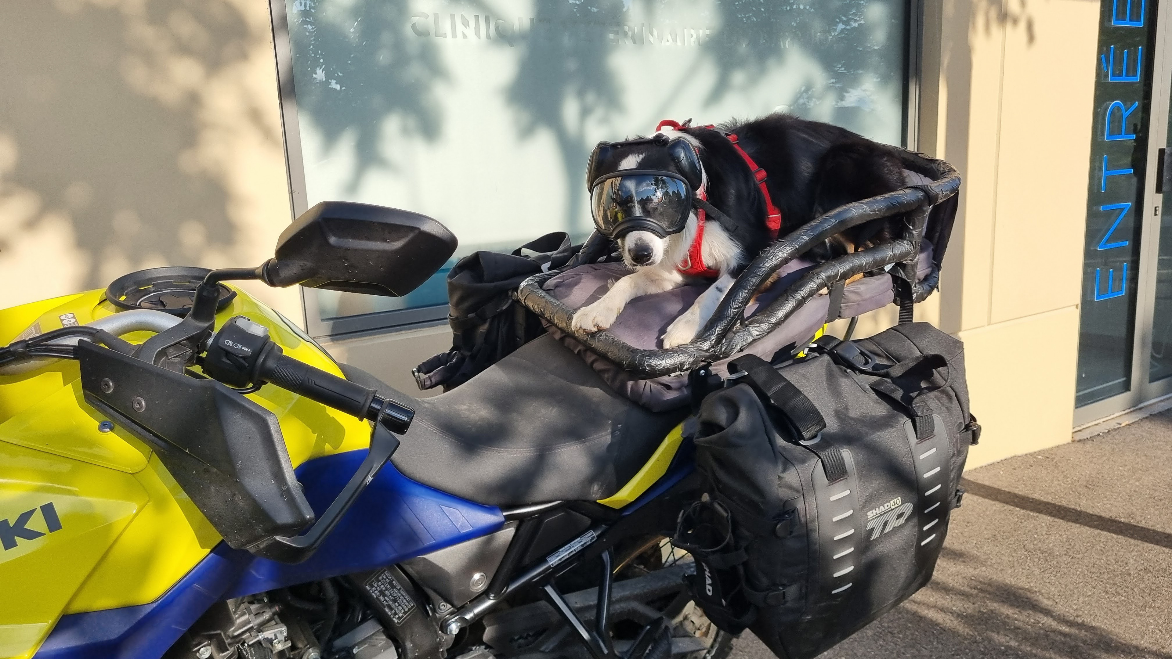 Insolite - Sophie Galy