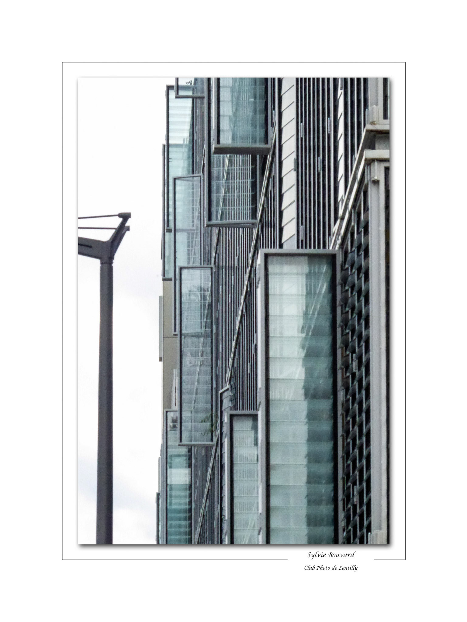 Sylvie Bouvard – Confluence - Lyon