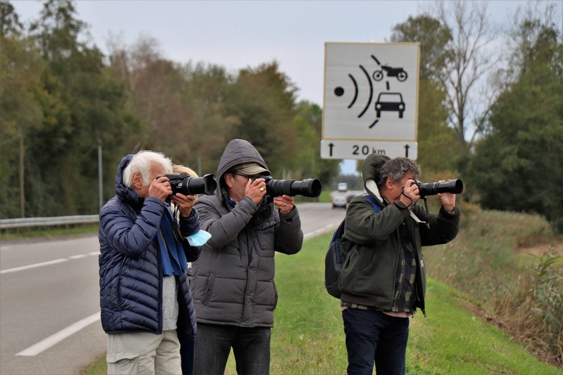 Parc des oiseaux