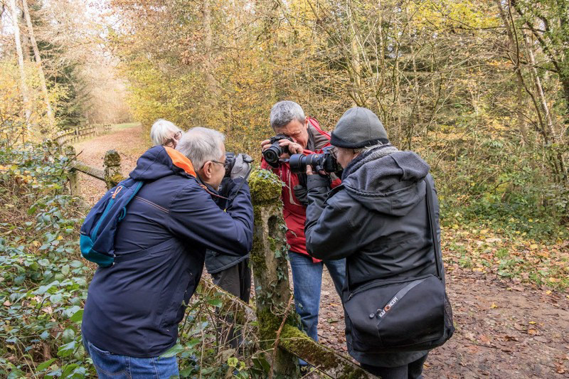 Bois de la Flachère