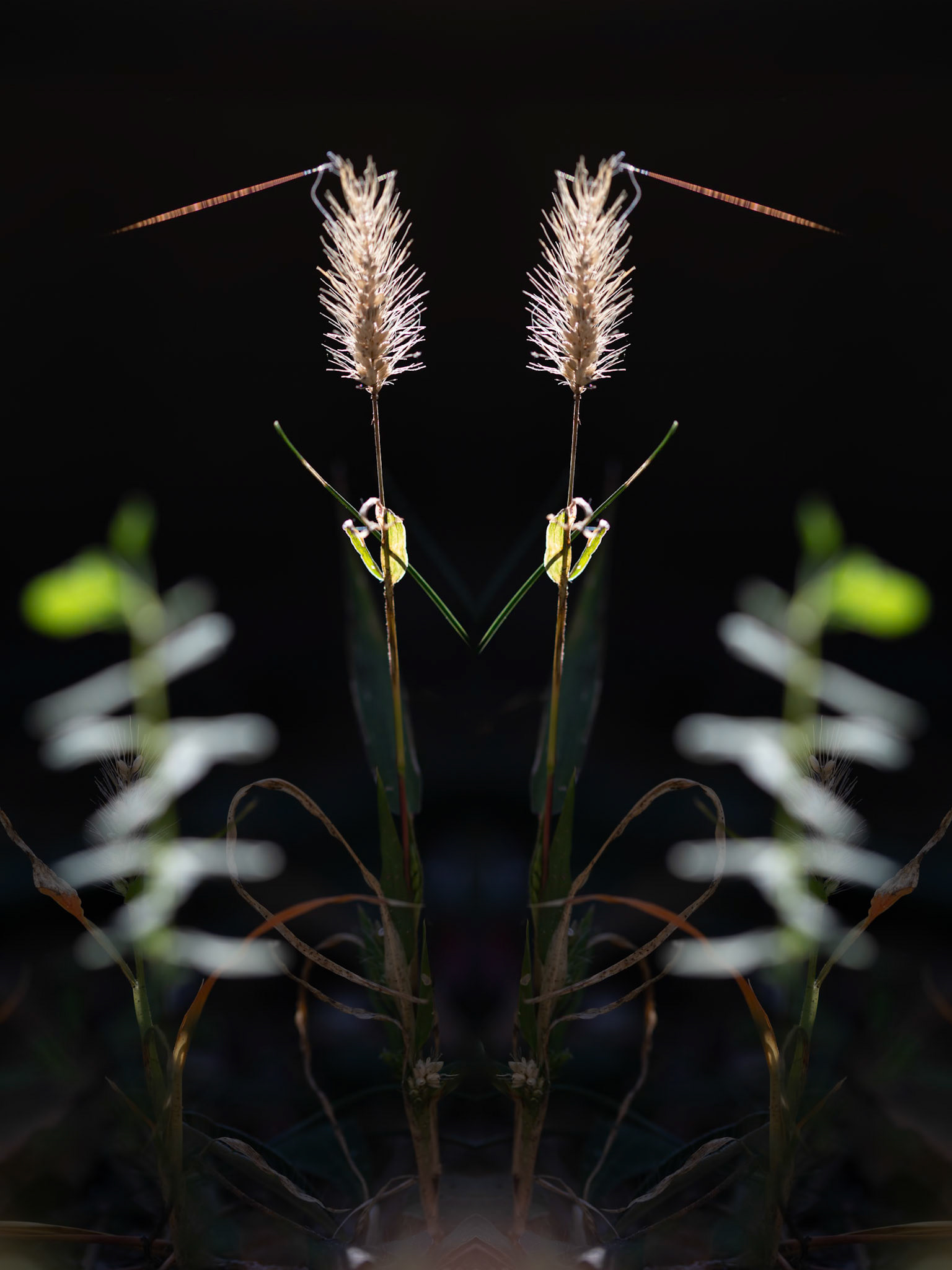 Jean-Pierre Delhomme