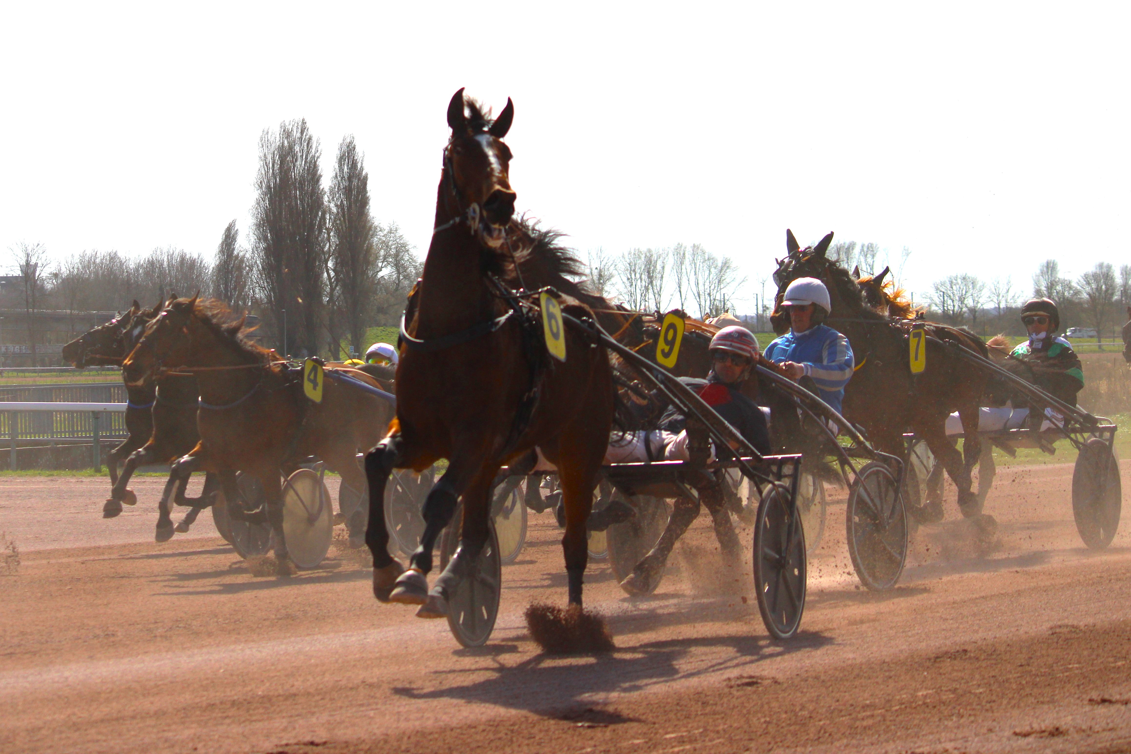 Hippique - Christian Clayeux