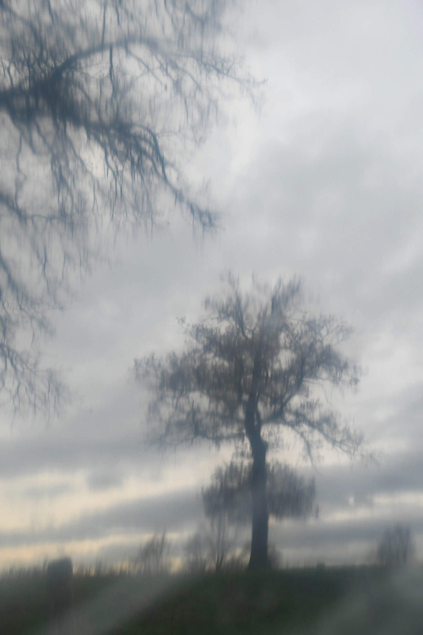 Mettre les voiles - Pascaline