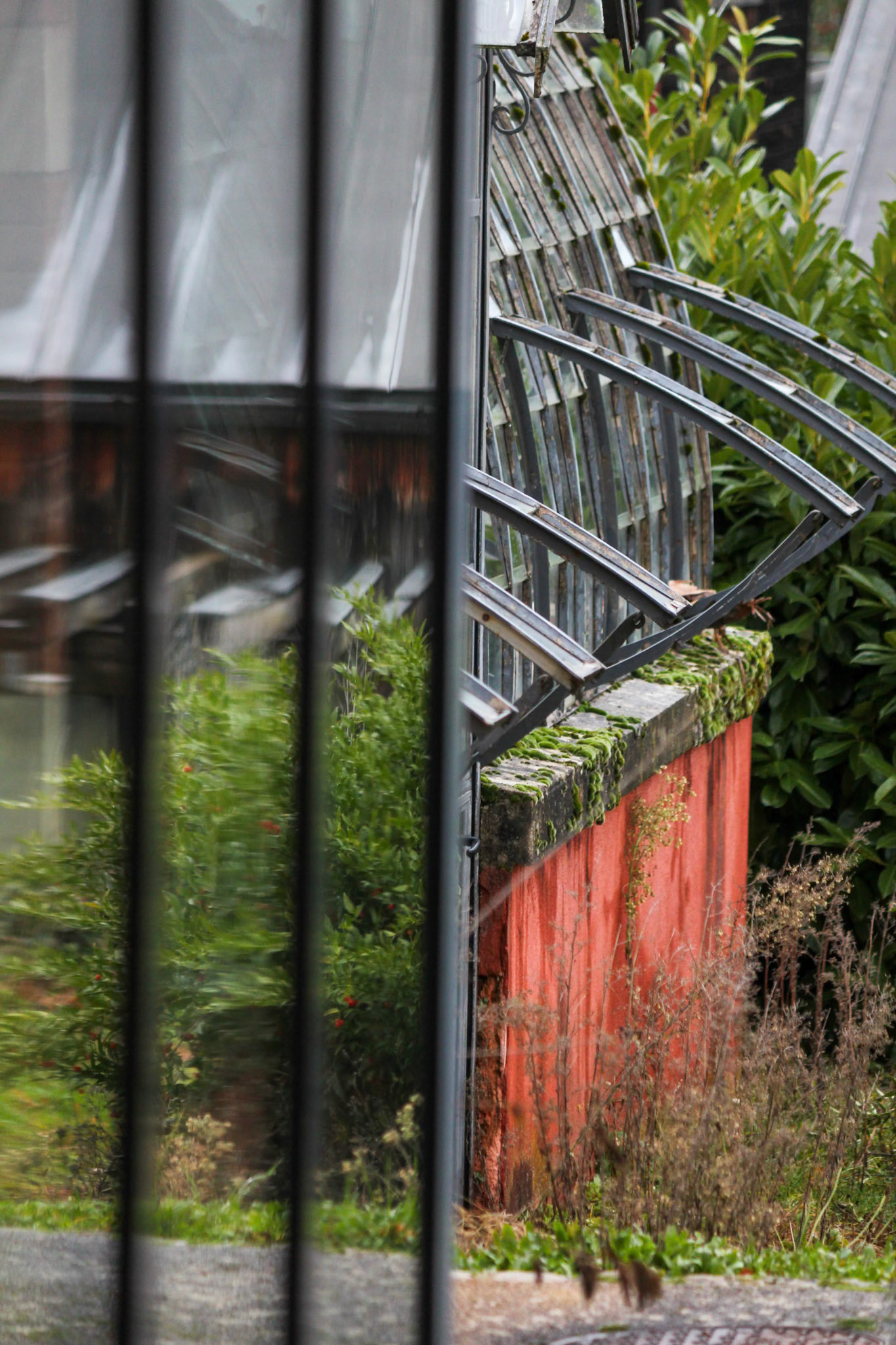 Couper la poire en deux -  Frédéric