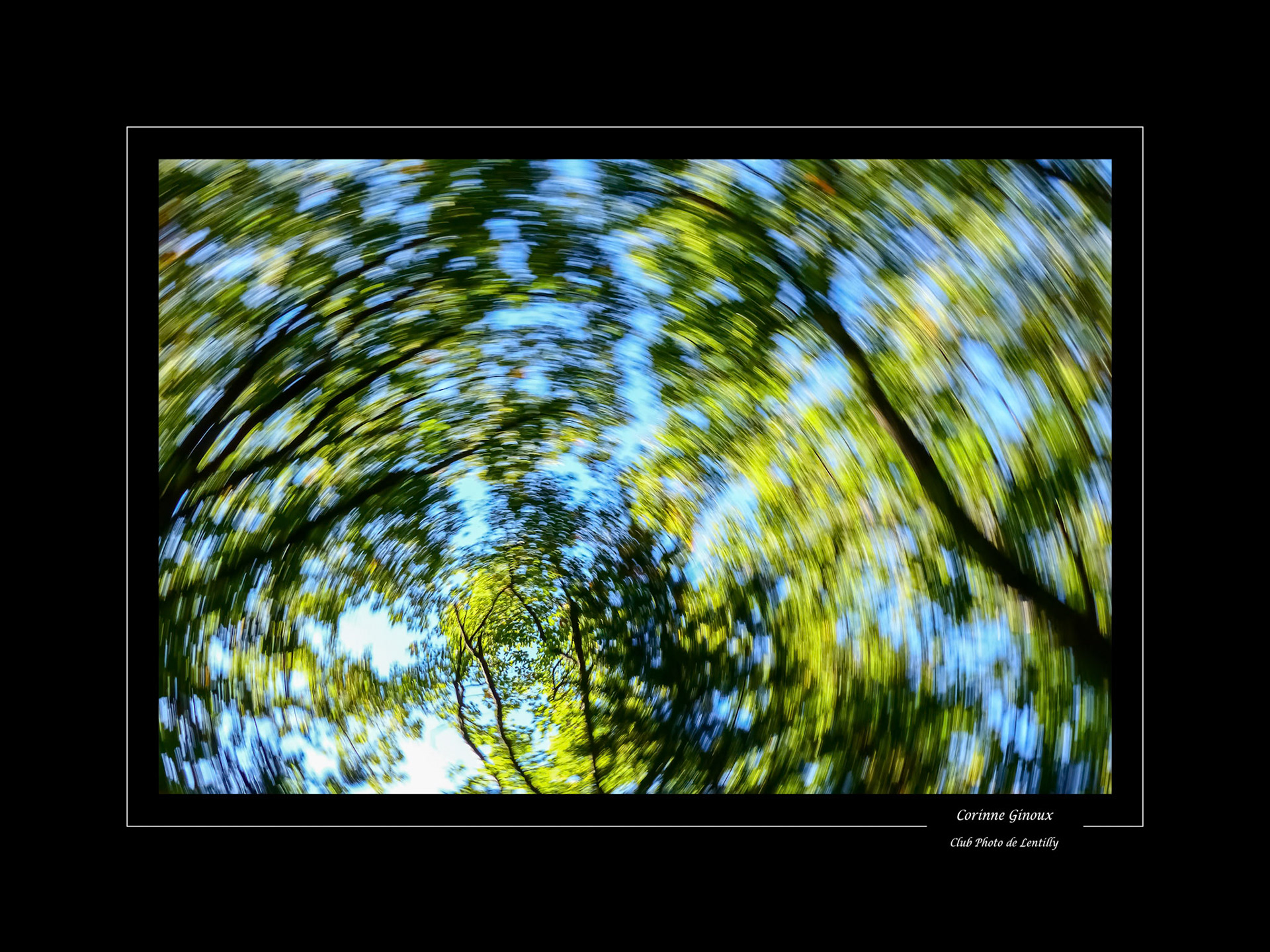 Corinne Ginoux – Parc de la Tourette - Eveux