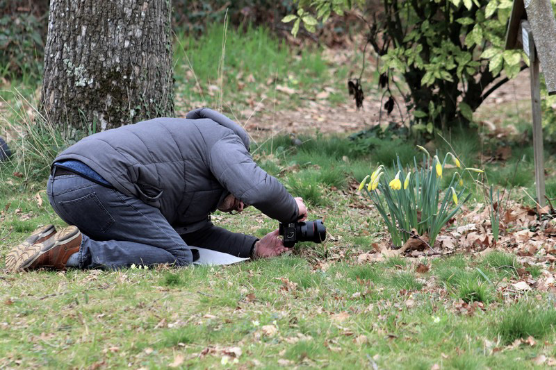 Chasse photo
