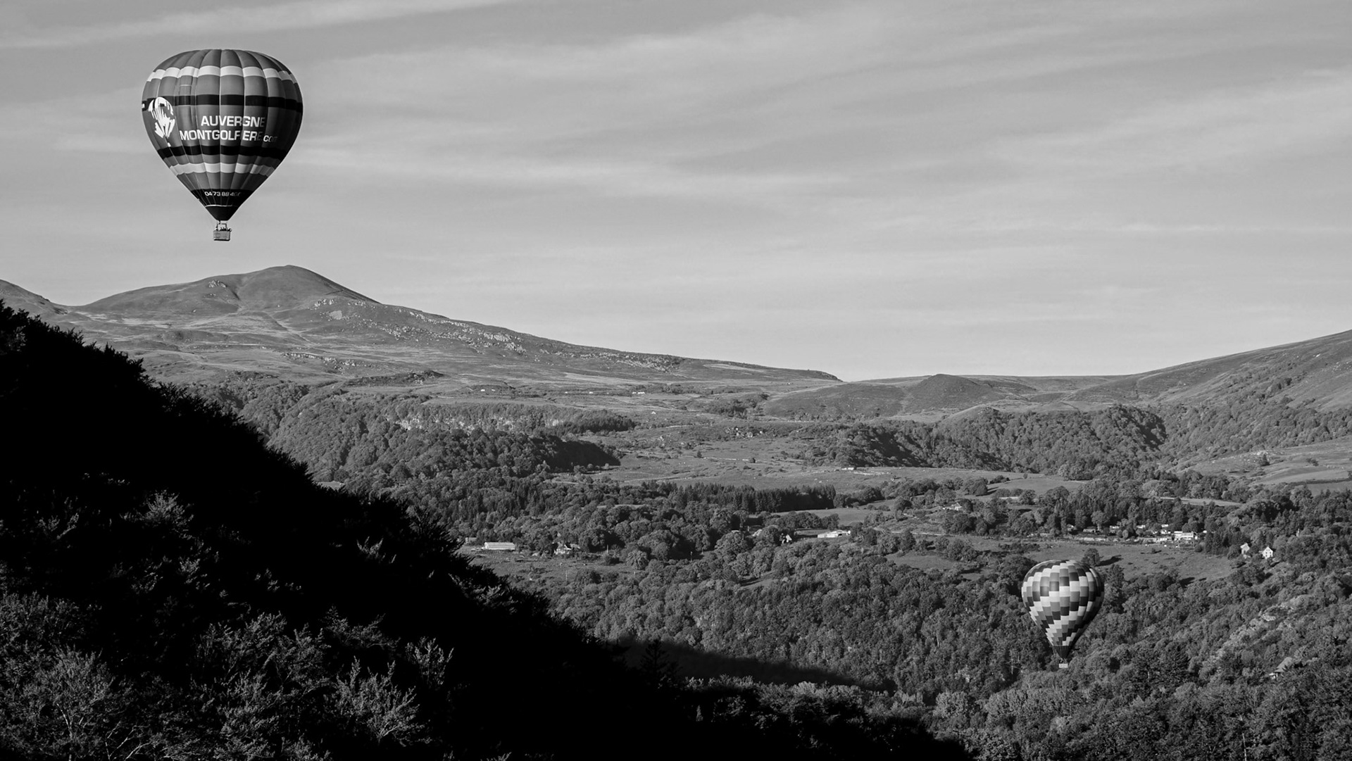 Marie-Agnès Laugier