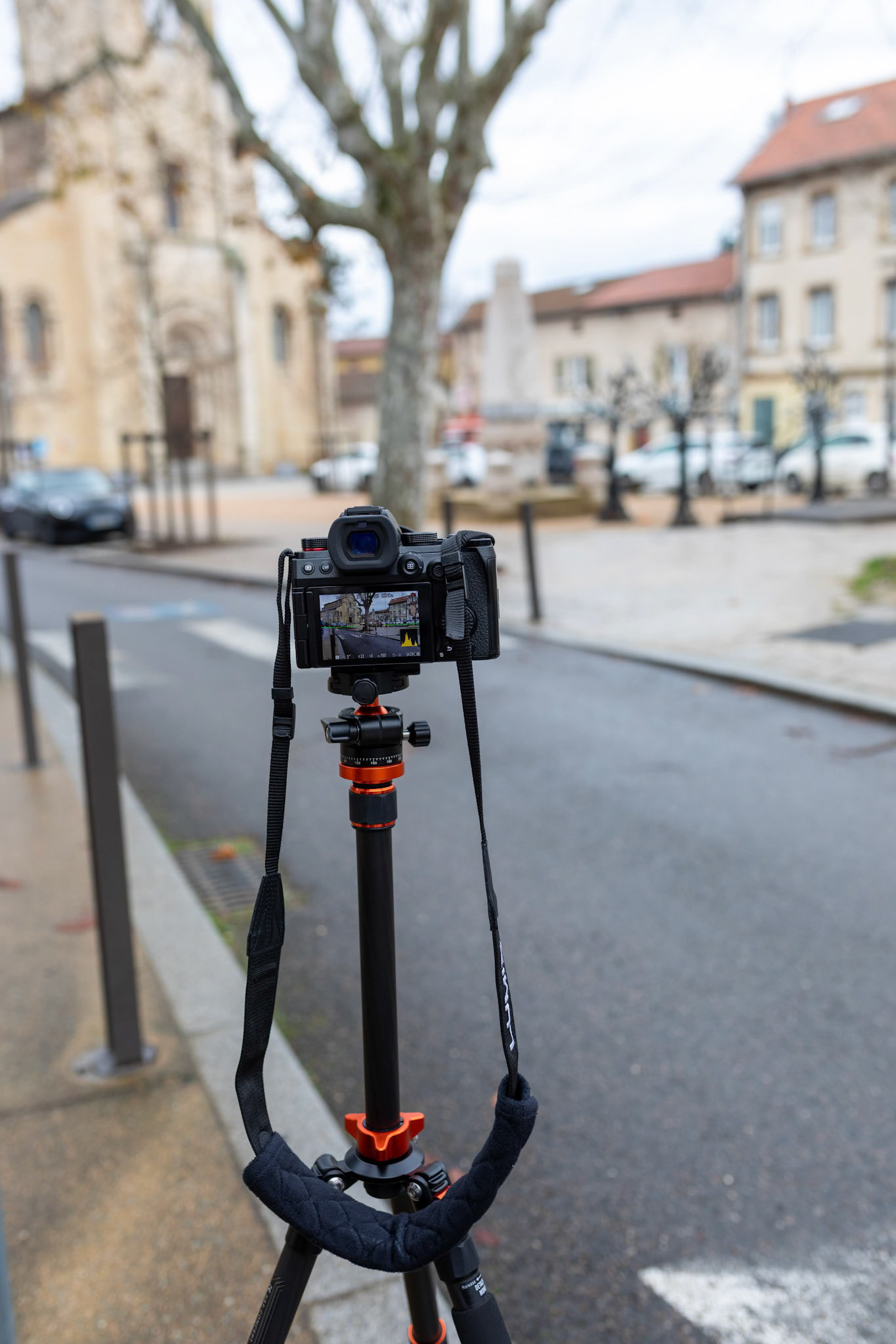 Briller par son absence - Estelle B.