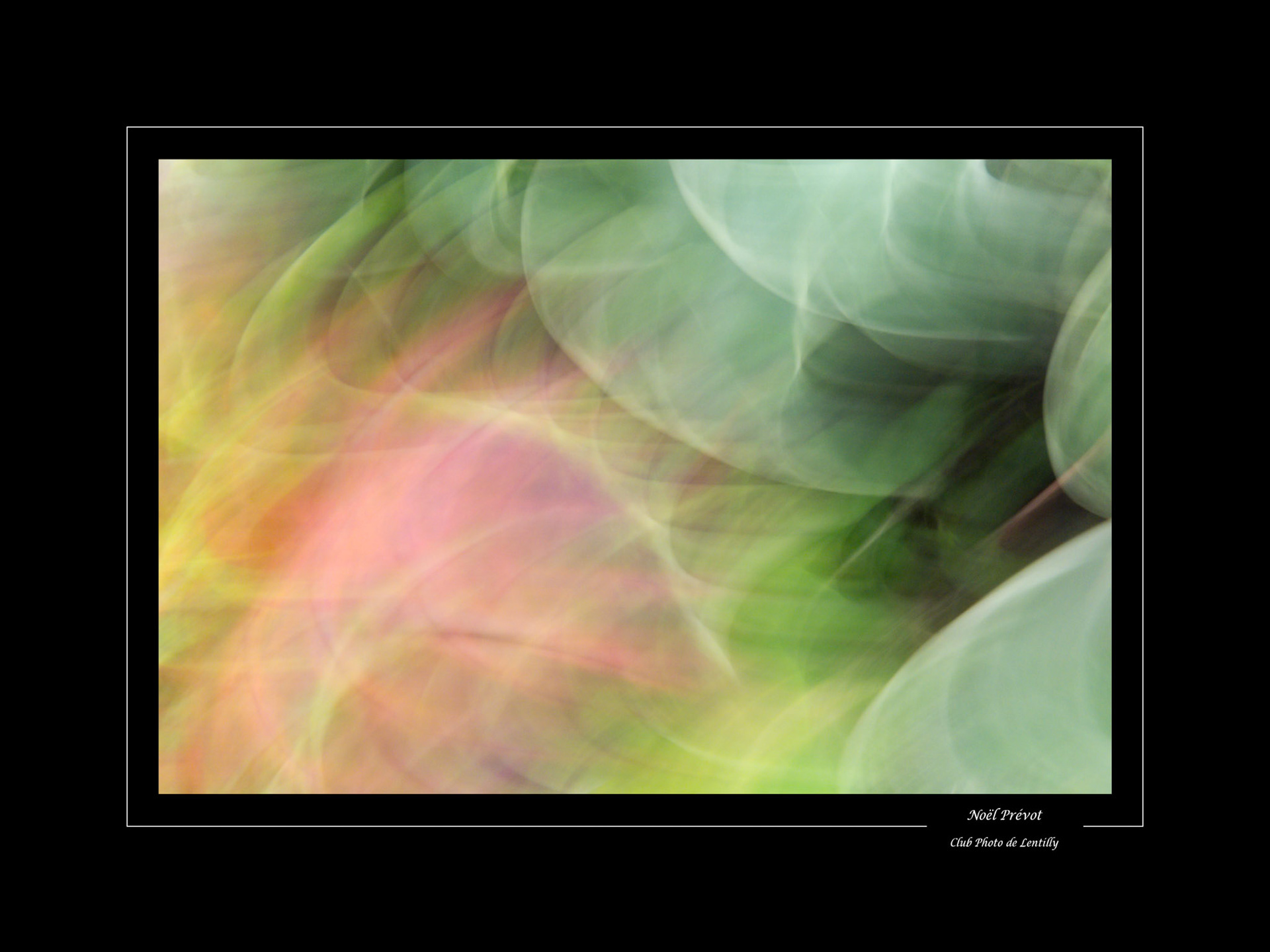 Noël Prévot - Feuilles