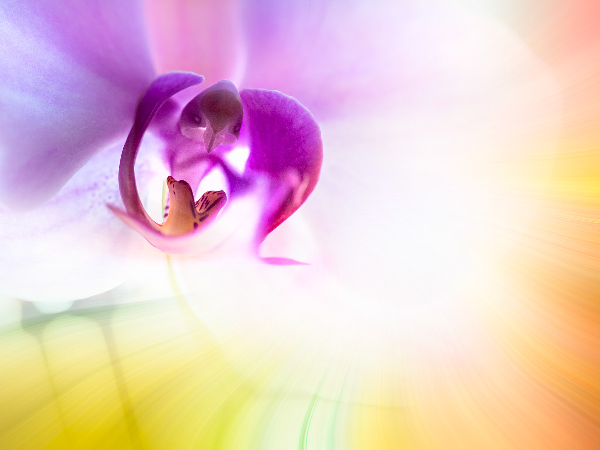 Jean-Pierre Delhomme