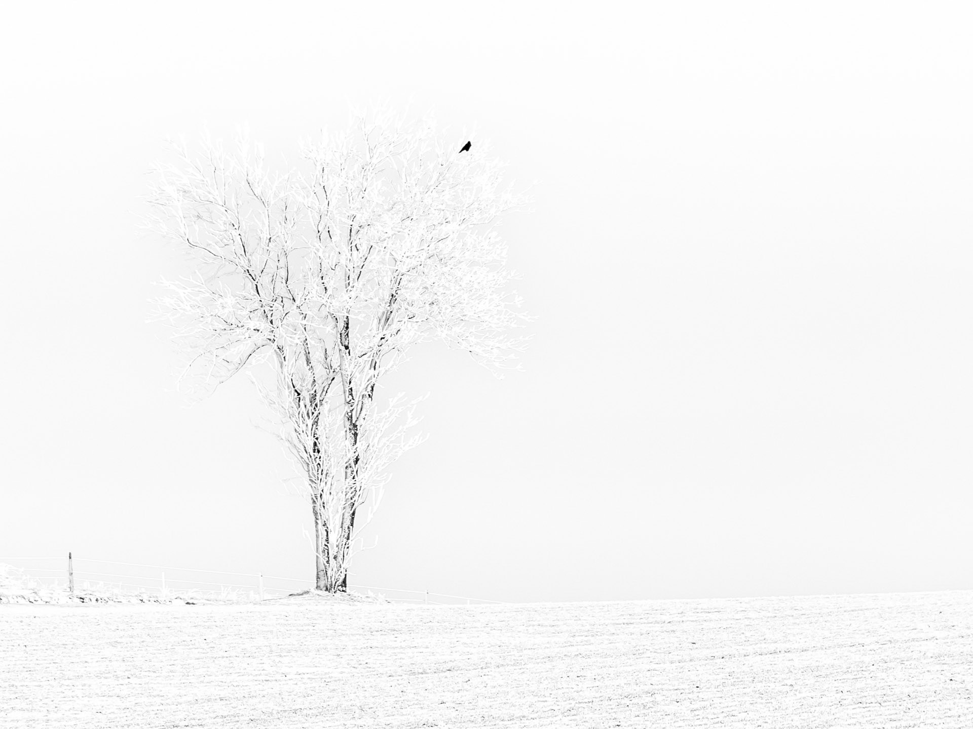 Jean-Pierre Delhomme