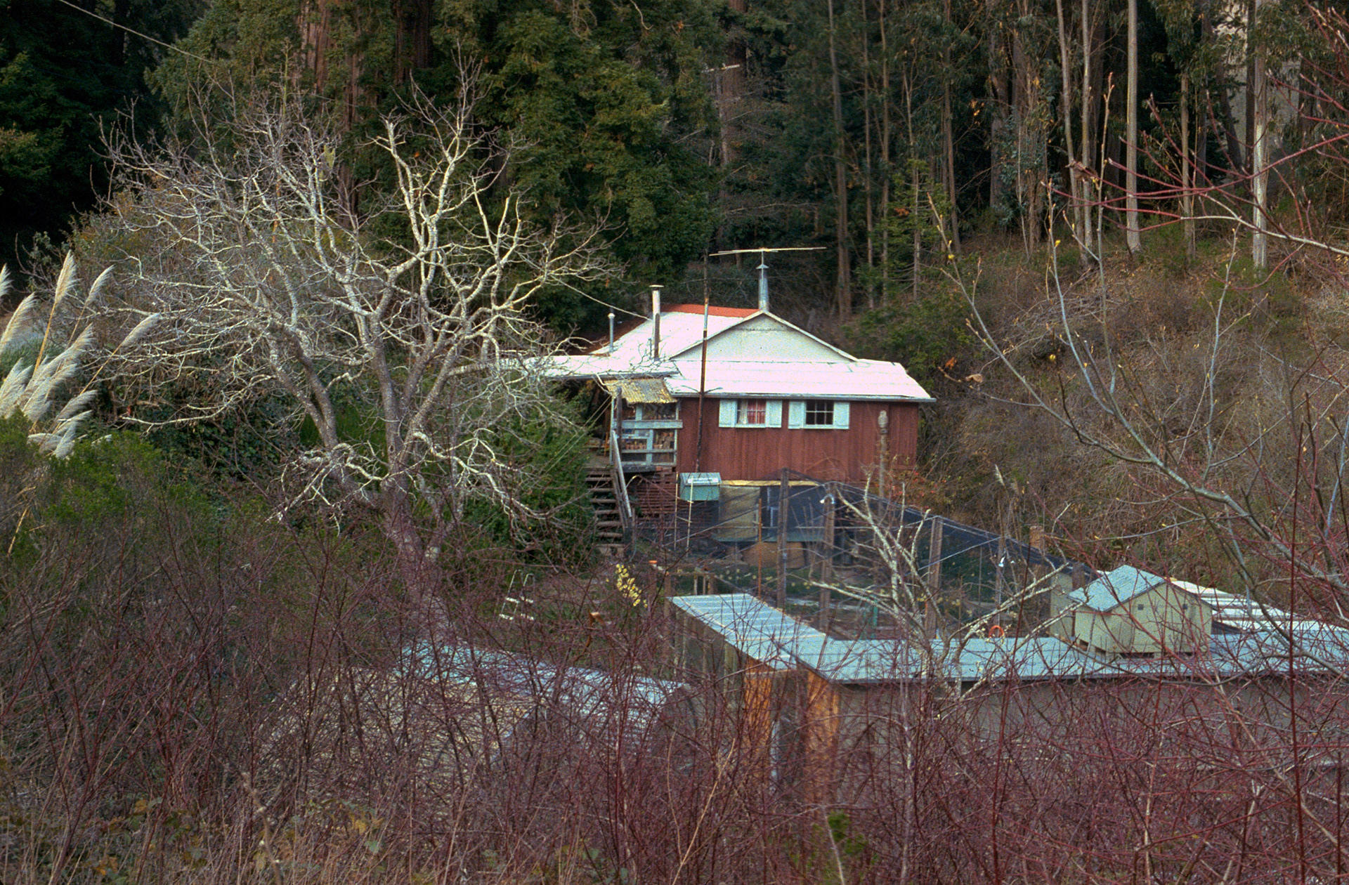 Tunitas Creek Cabin -01