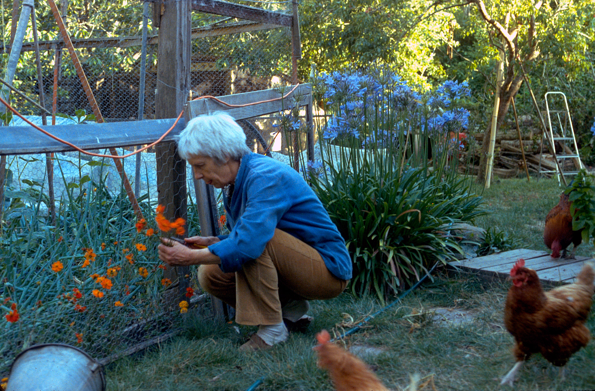 ca1980's - Hela in Garden - 1