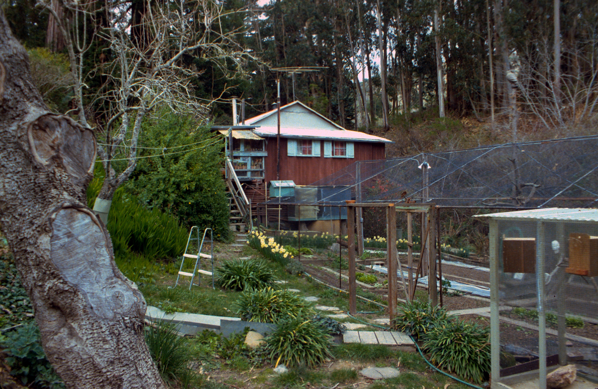 Tunitas Creek Cabin -02