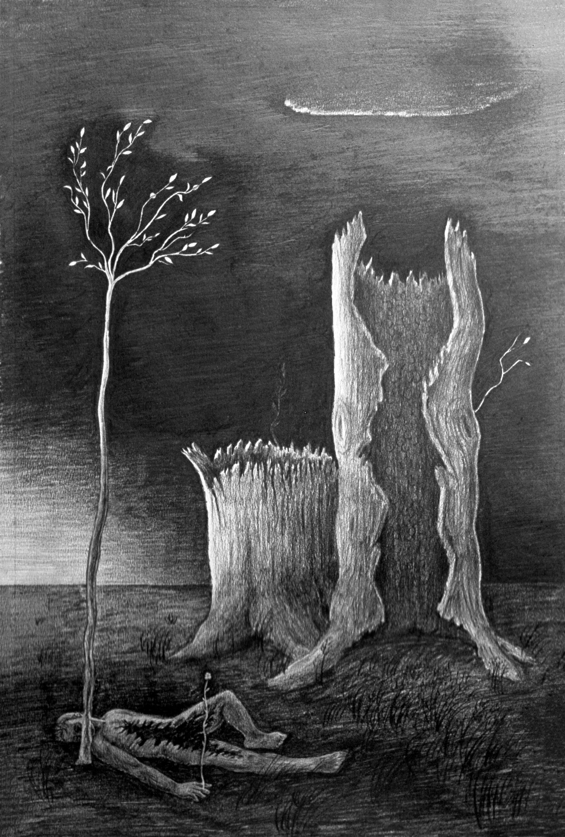 ca1942 - Hollow Tree