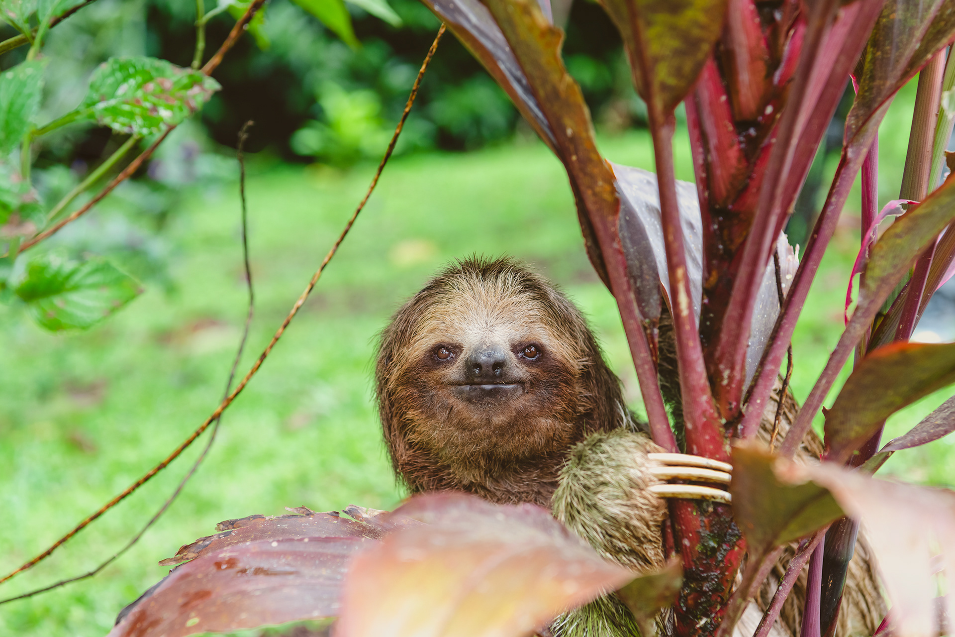 Costa Rica