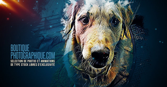 Boutiquephotographique.com logo 2