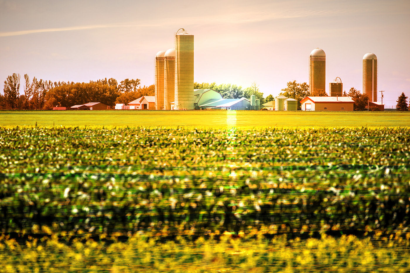 Agriculture Images