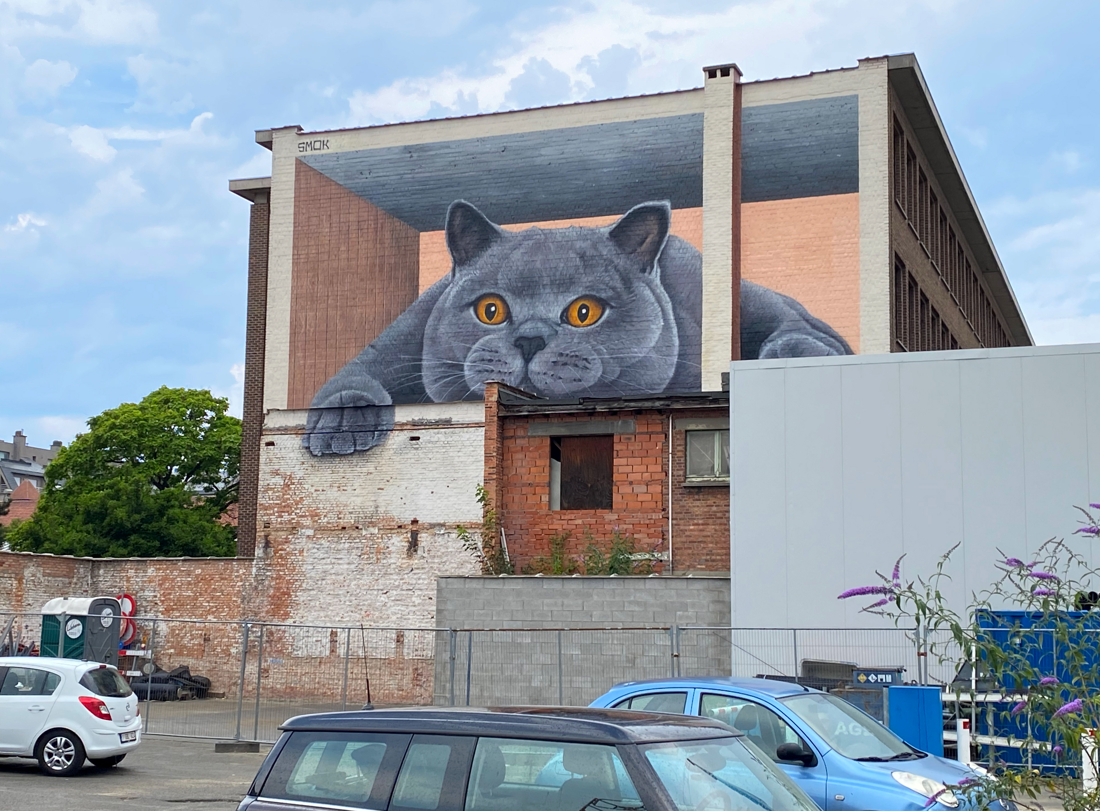 Catification, a big anaphormic mural of a cat staring at a parking