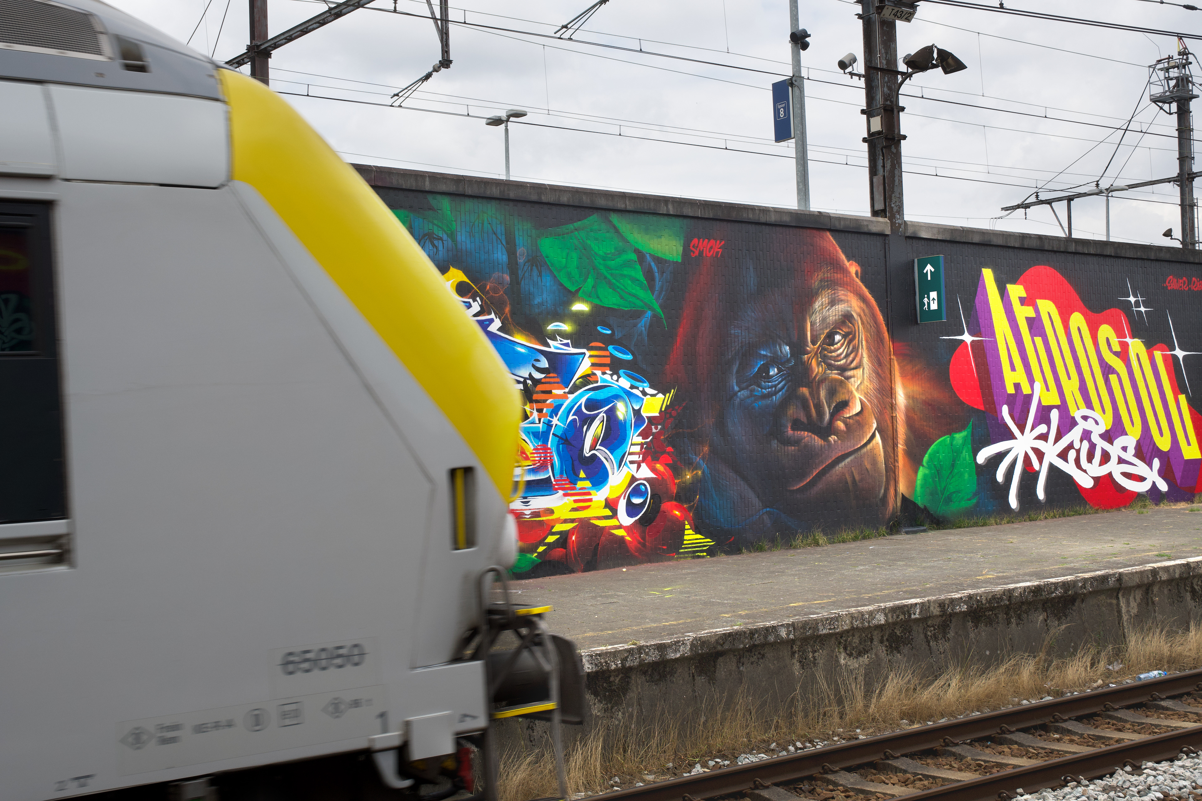 Berchem Train station graffiti Gorilla