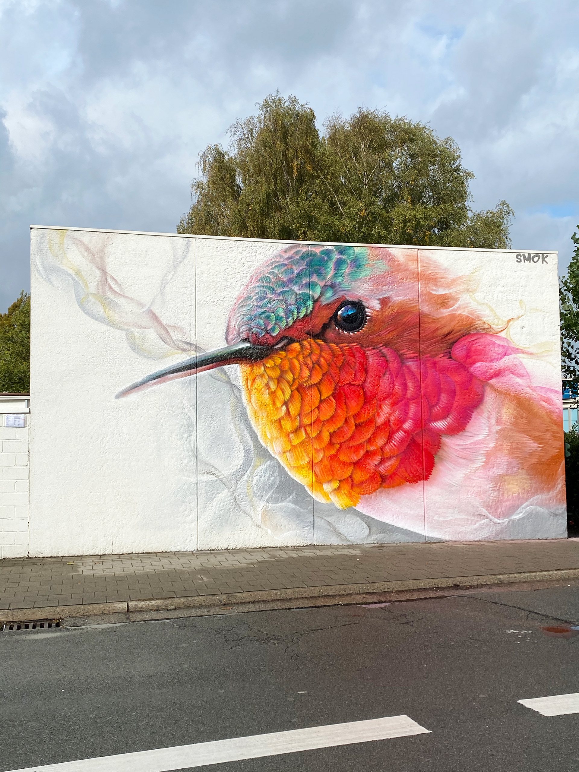 Graffiti of a Ruby-throated hummingbird