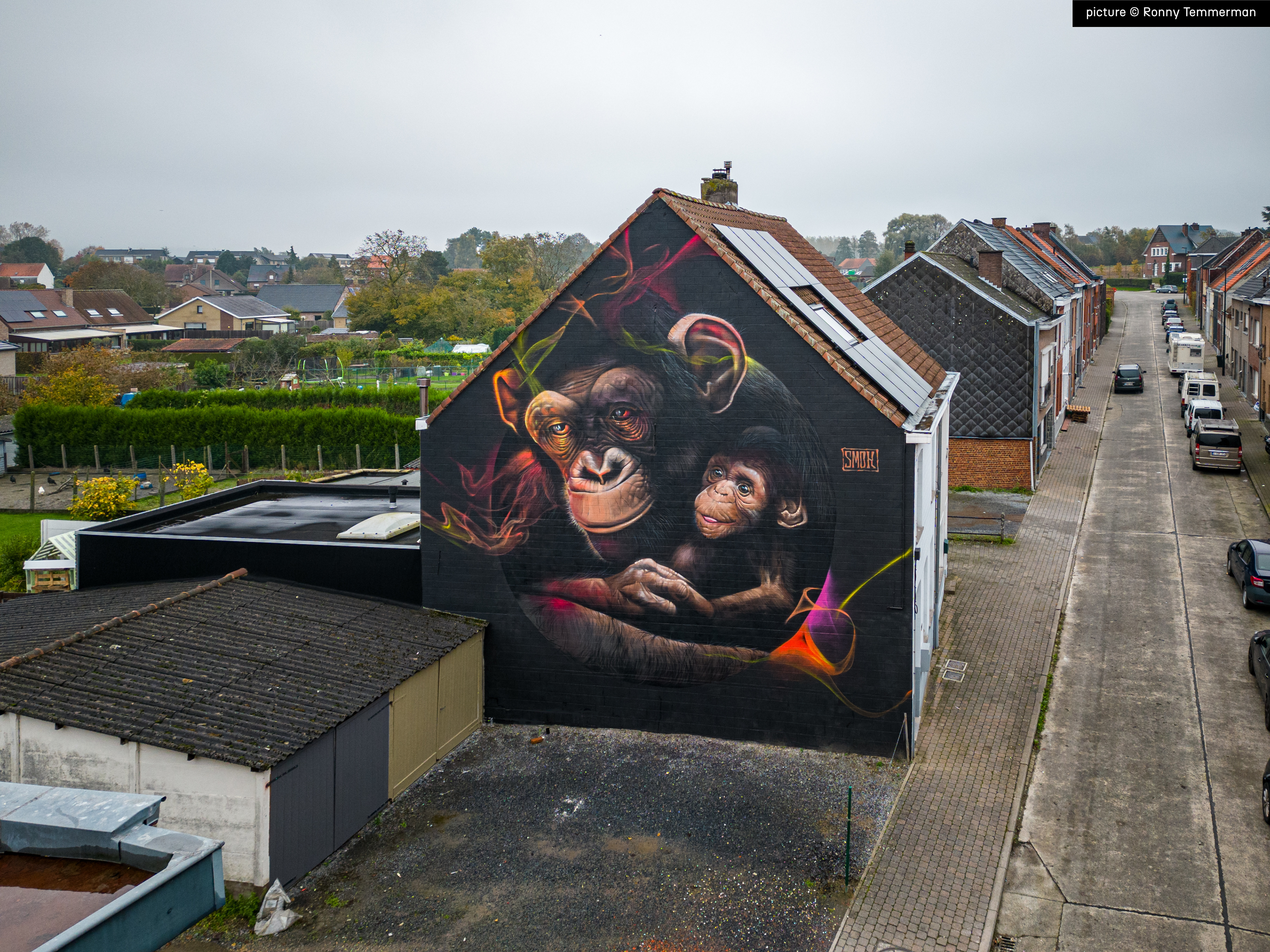 Graffiti painting by SMOK in Ronse, Belgium