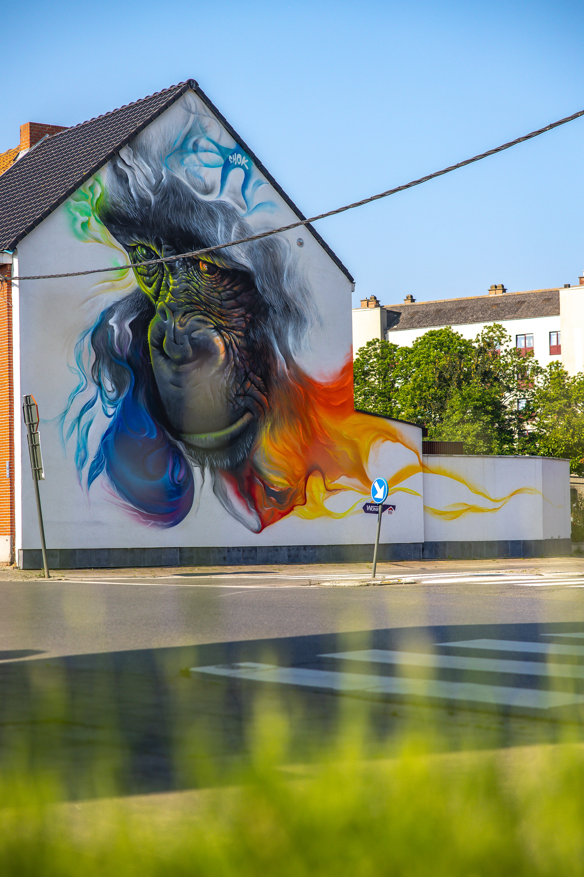 Sideview of a Gigantic Street Art work
